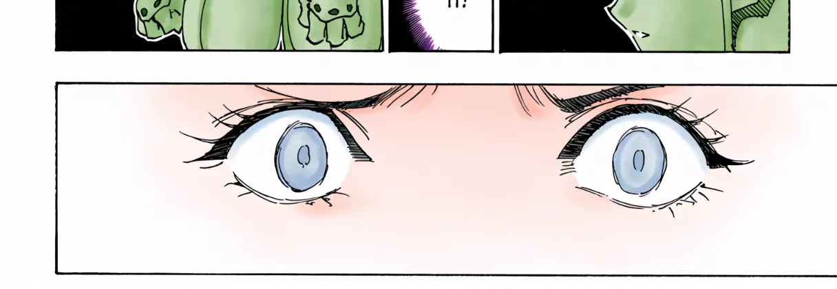 Hunter x Hunter Colored Manga