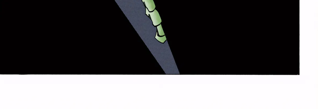 Hunter x Hunter Colored Manga