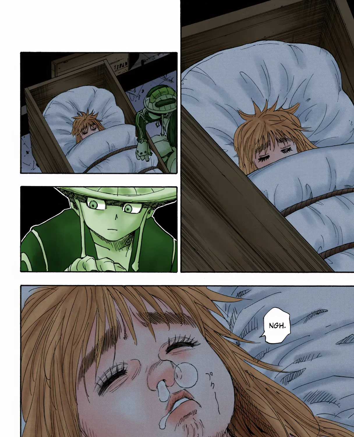 Hunter x Hunter Colored Manga