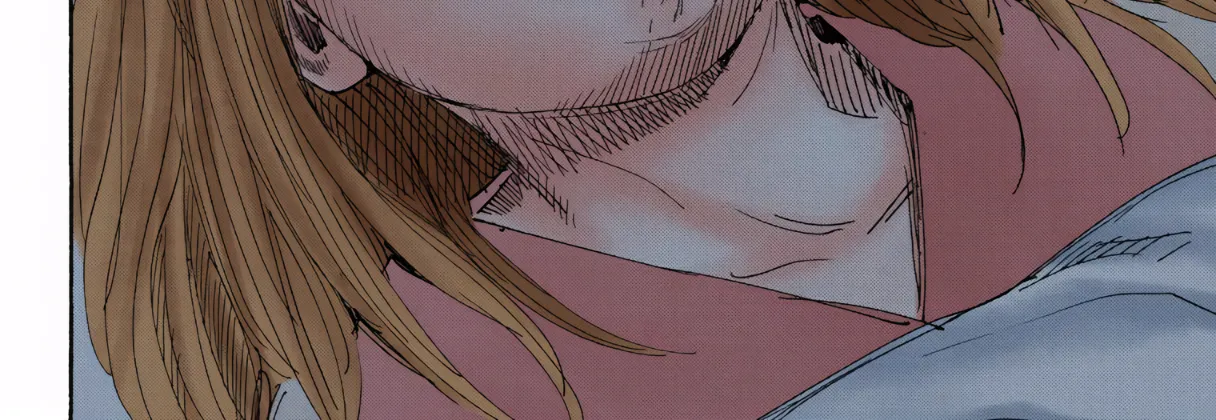 Hunter x Hunter Colored Manga