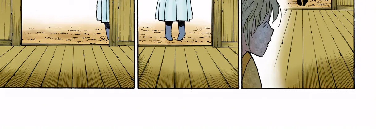 Hunter x Hunter Colored Manga