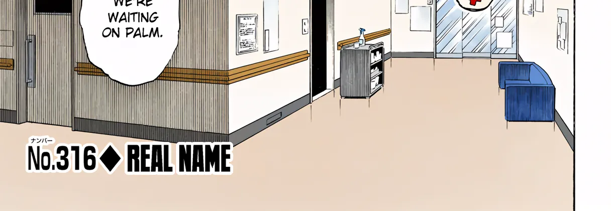 Hunter x Hunter Colored Manga