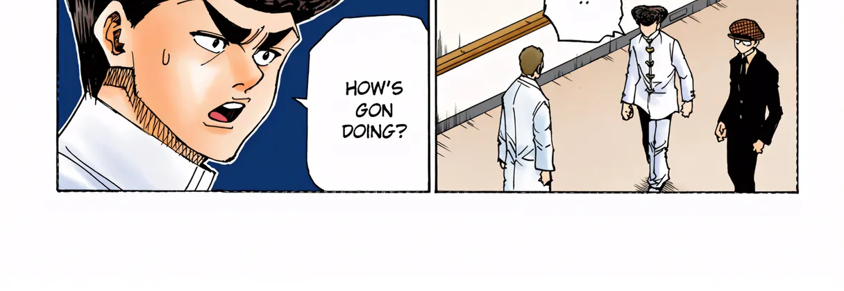 Hunter x Hunter Colored Manga