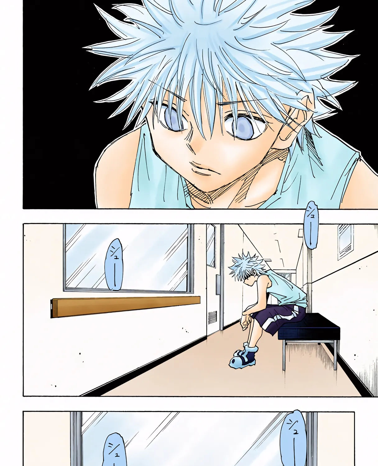 Hunter x Hunter Colored Manga