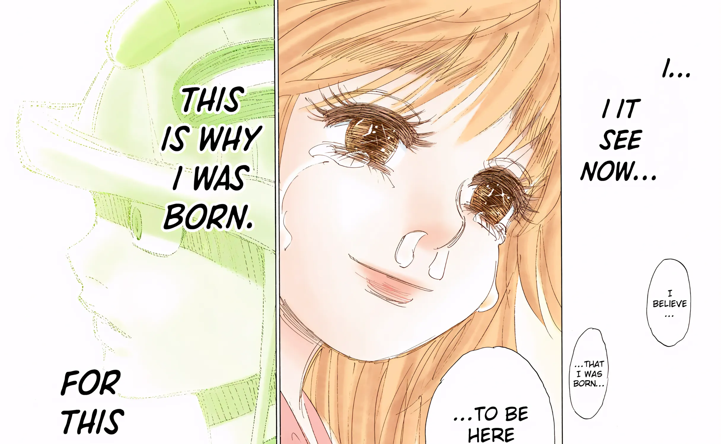 Hunter x Hunter Colored Manga