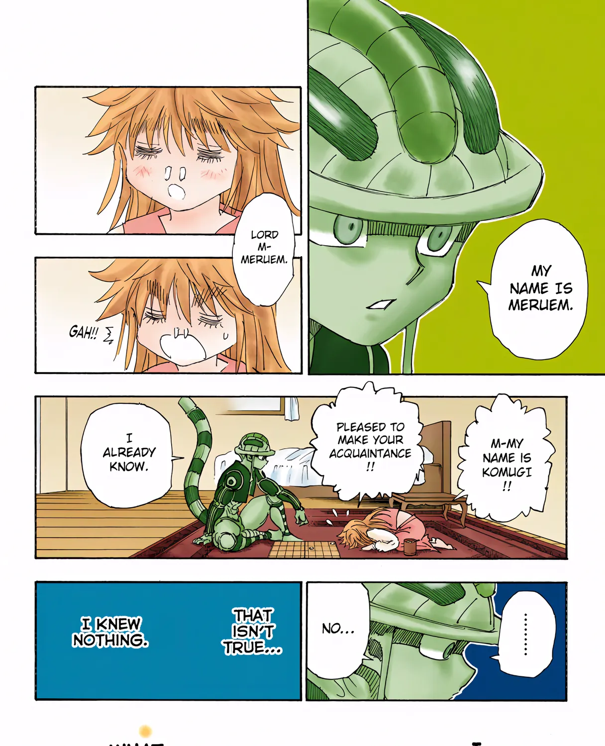 Hunter x Hunter Colored Manga