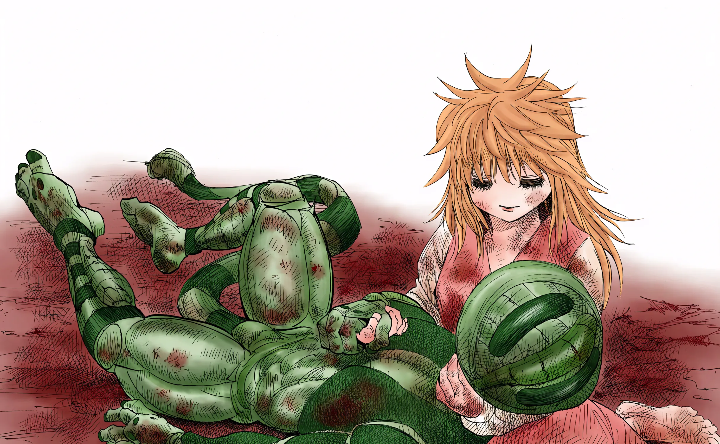 Hunter x Hunter Colored Manga