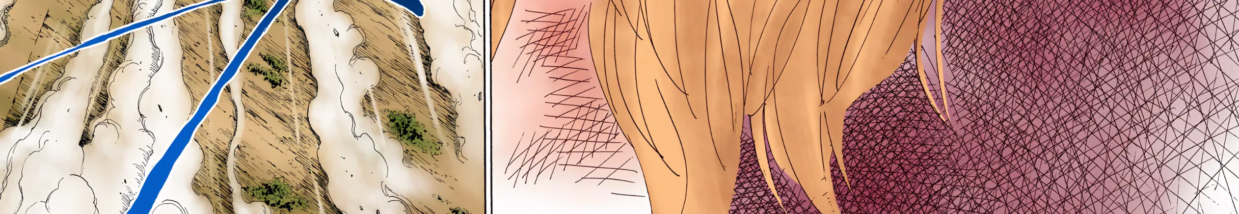 Hunter x Hunter Colored Manga