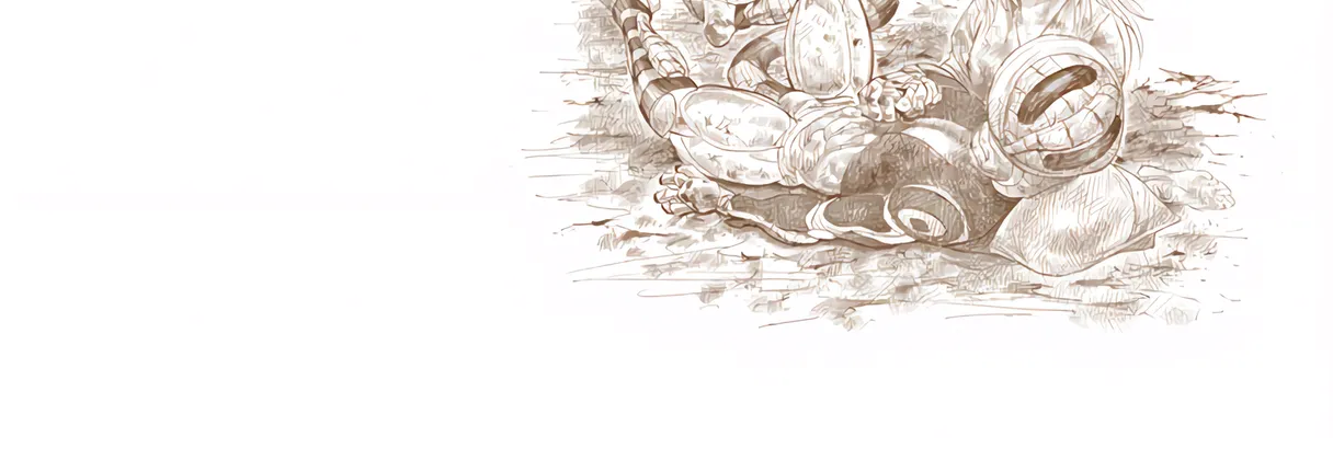 Hunter x Hunter Colored Manga