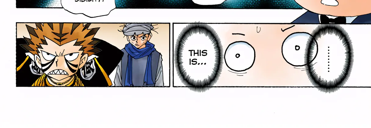 Hunter x Hunter Colored Manga