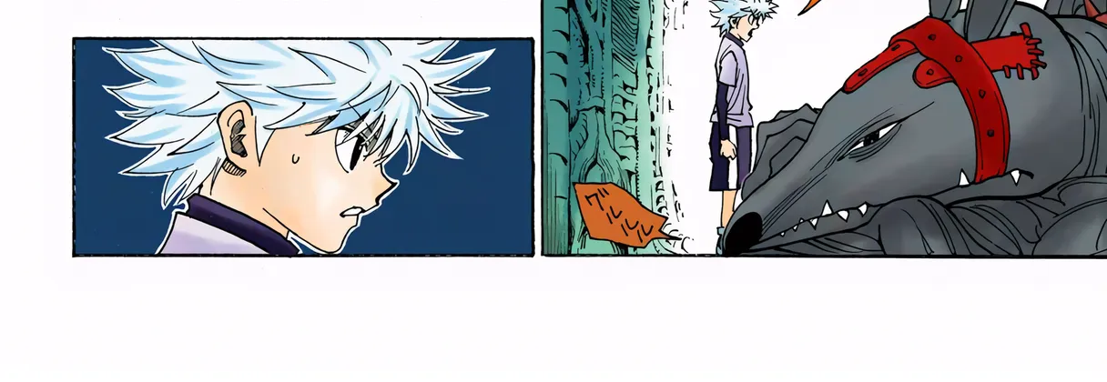 Hunter x Hunter Colored Manga