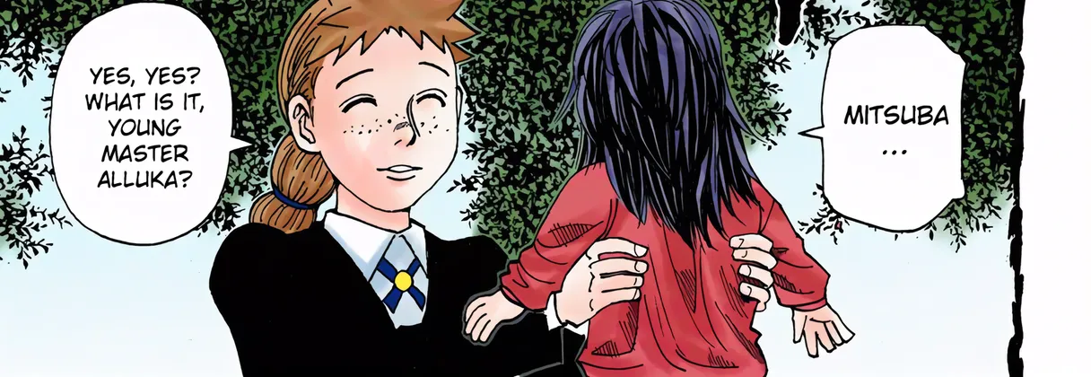 Hunter x Hunter Colored Manga