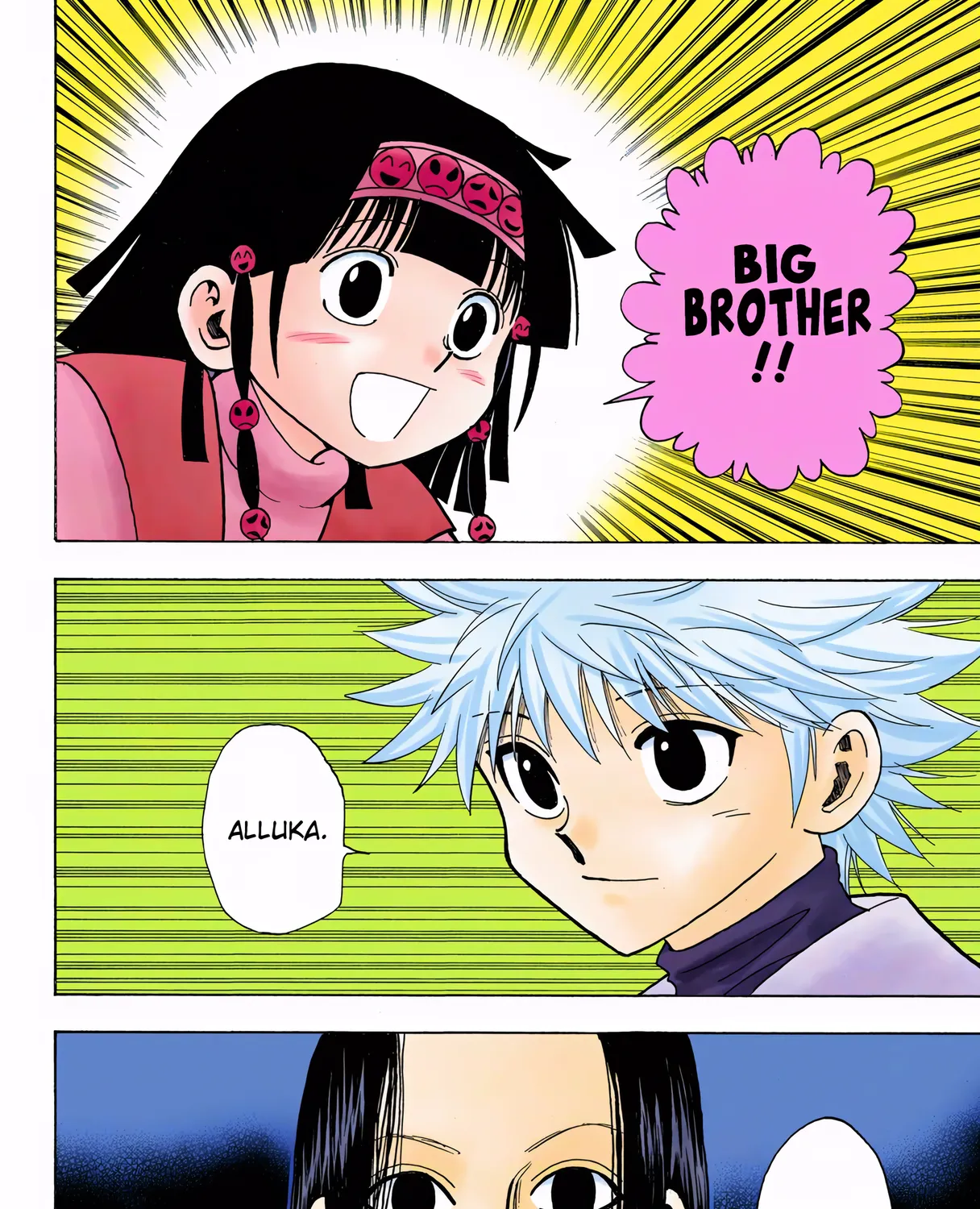 Hunter x Hunter Colored Manga