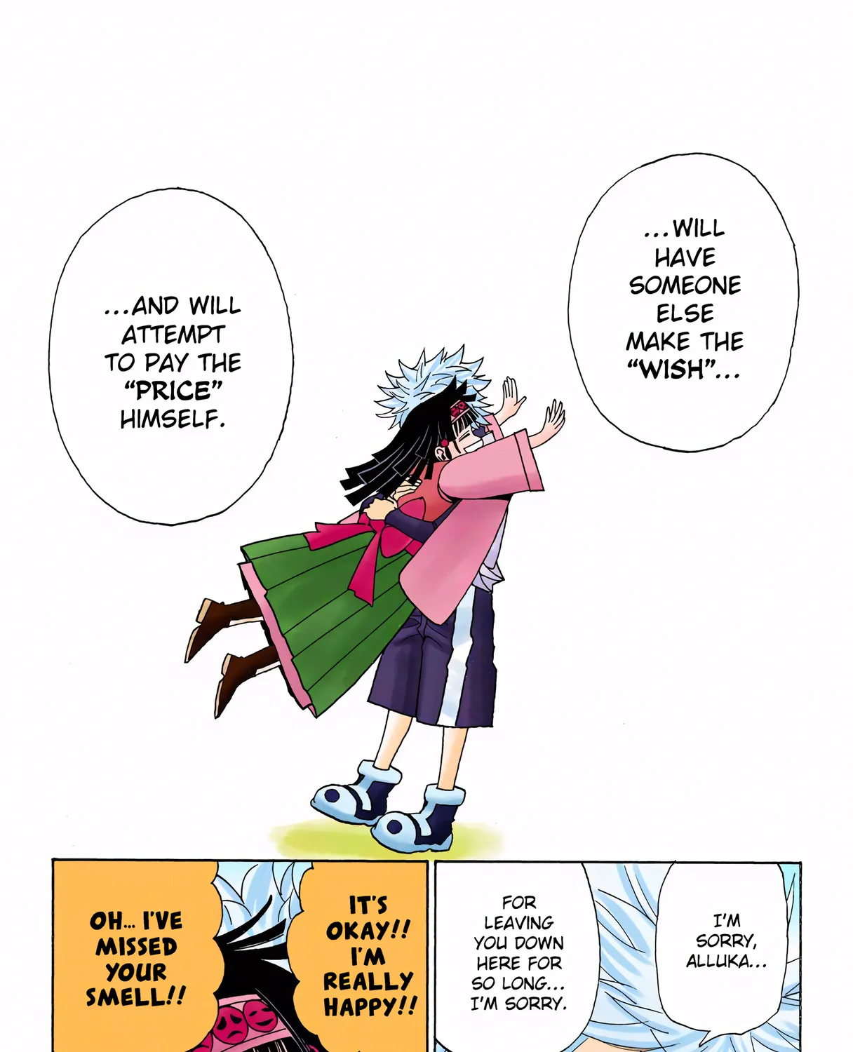 Hunter x Hunter Colored Manga