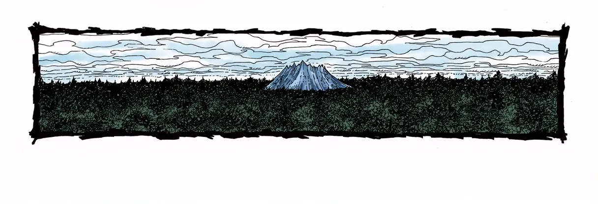 Hunter x Hunter Colored Manga