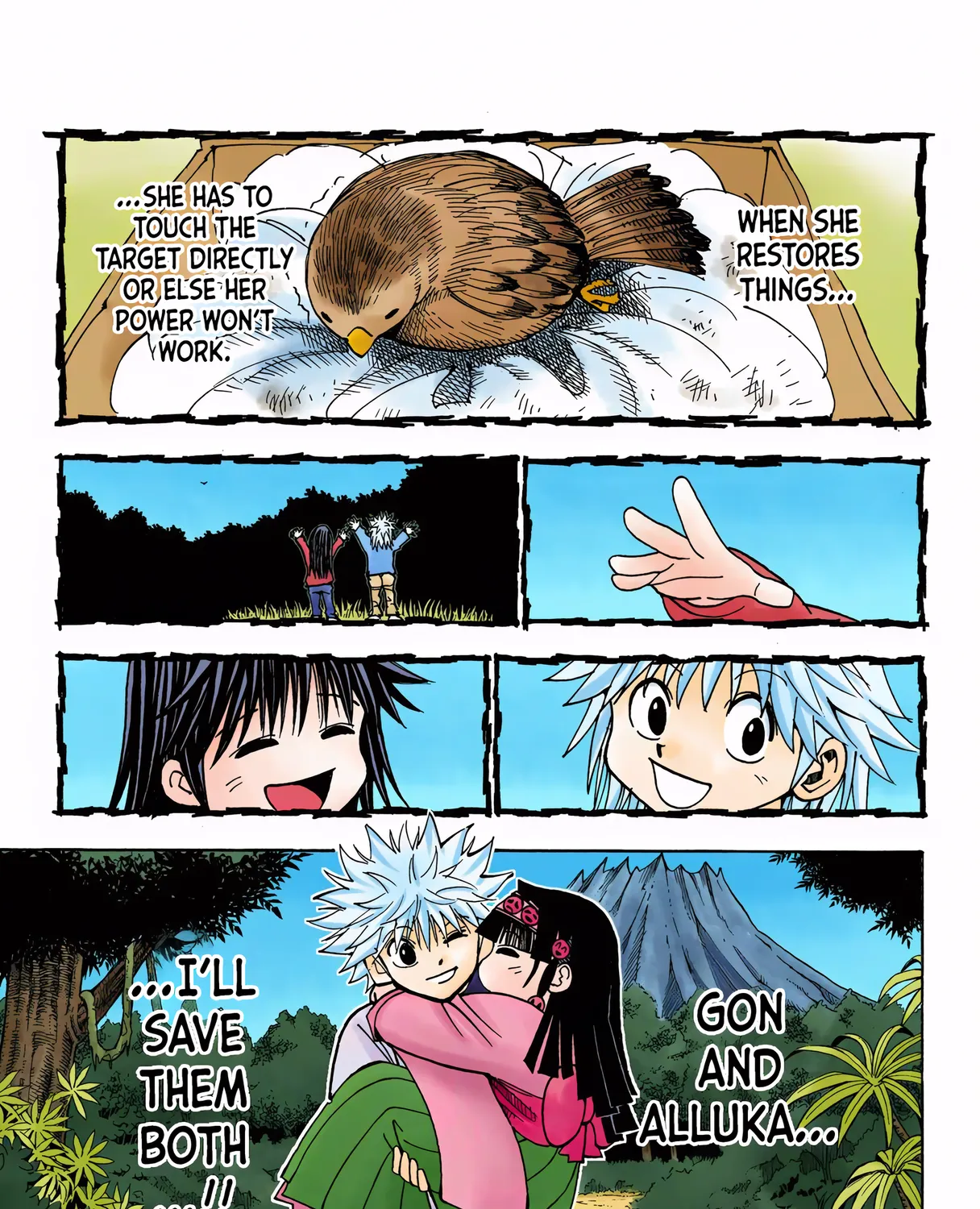Hunter x Hunter Colored Manga