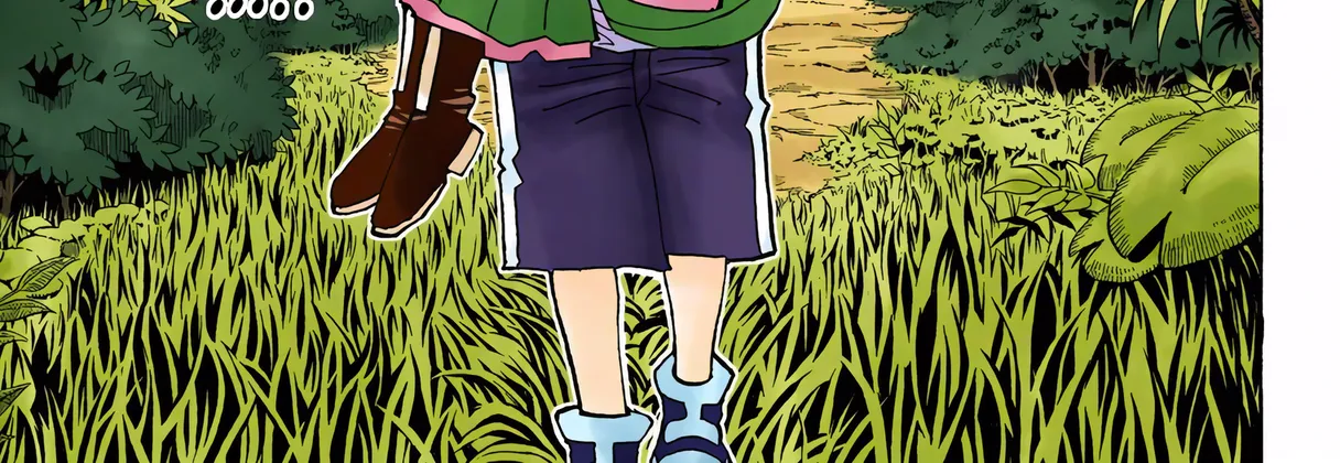 Hunter x Hunter Colored Manga