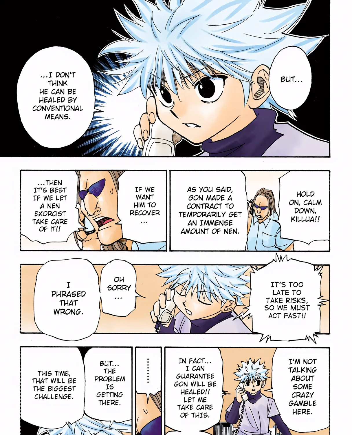 Hunter x Hunter Colored Manga