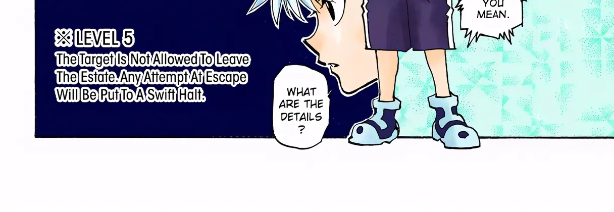 Hunter x Hunter Colored Manga