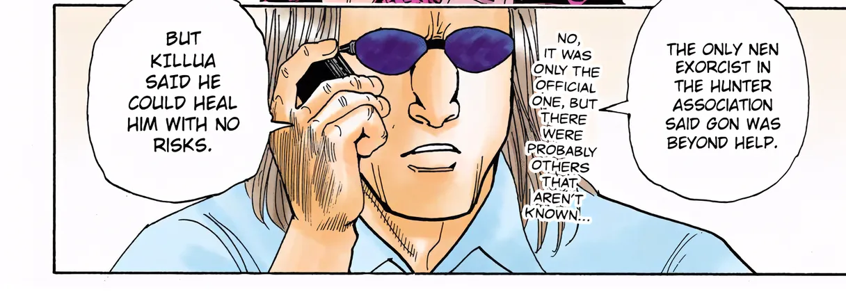 Hunter x Hunter Colored Manga