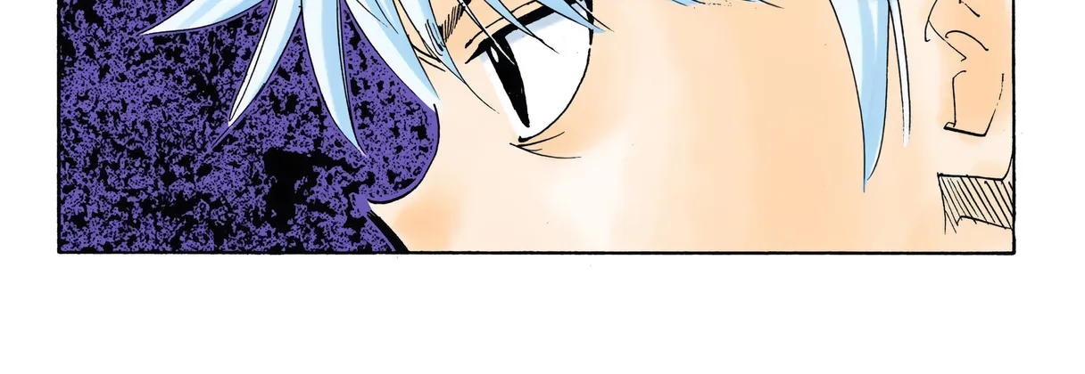 Hunter x Hunter Colored Manga