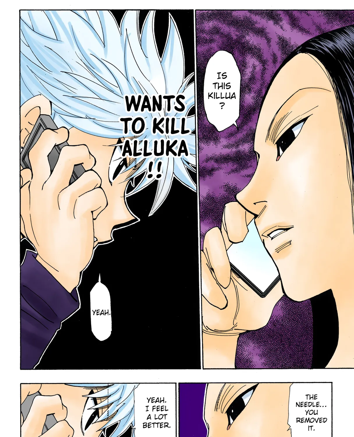 Hunter x Hunter Colored Manga