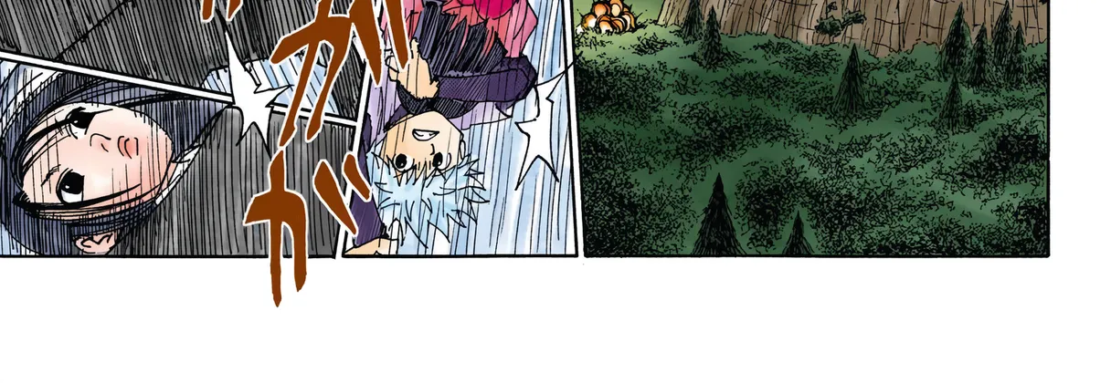 Hunter x Hunter Colored Manga