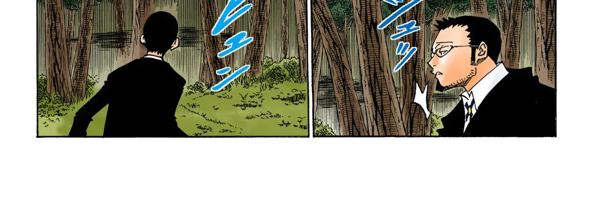 Hunter x Hunter Colored Manga