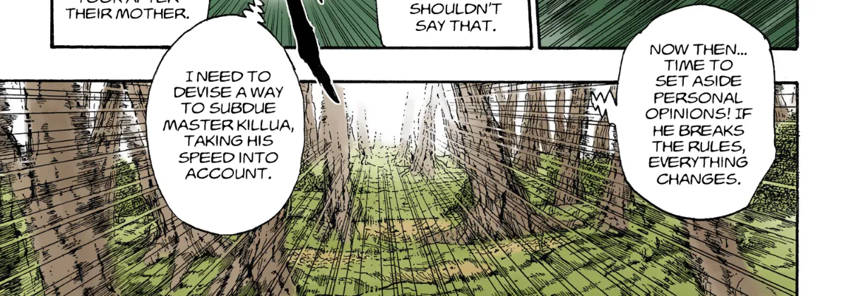 Hunter x Hunter Colored Manga