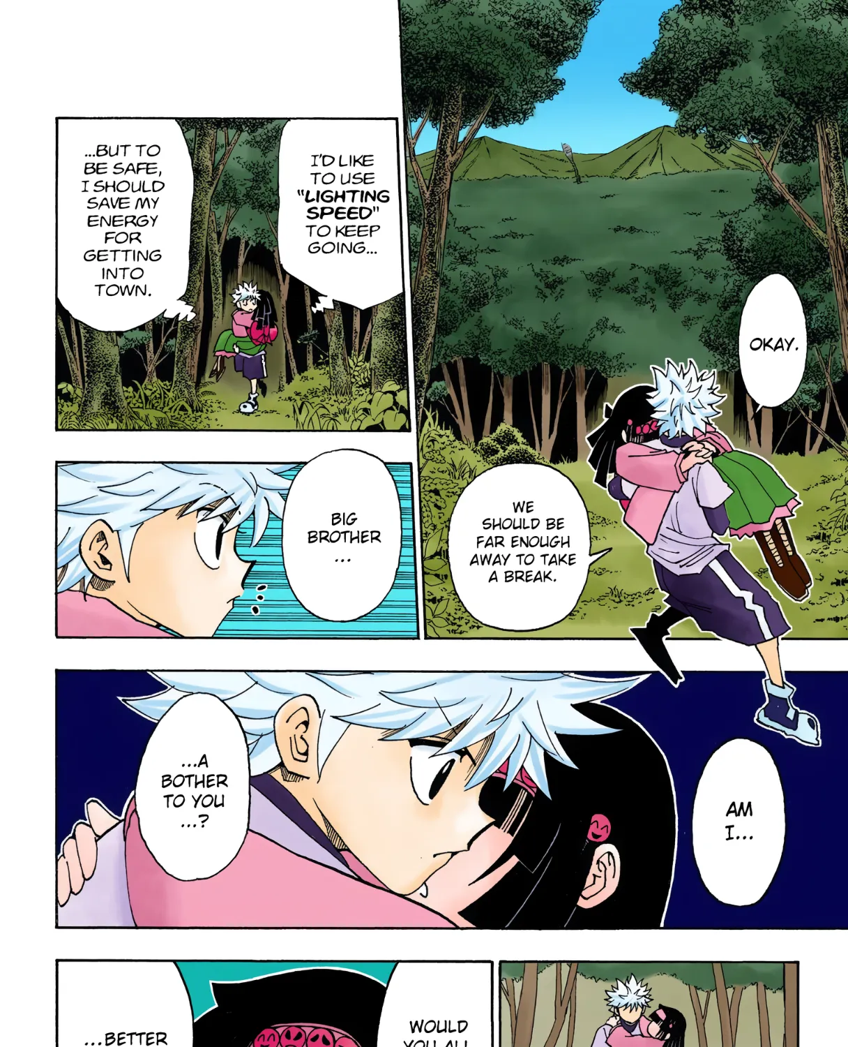Hunter x Hunter Colored Manga