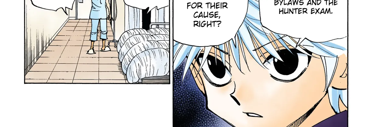 Hunter x Hunter Colored Manga