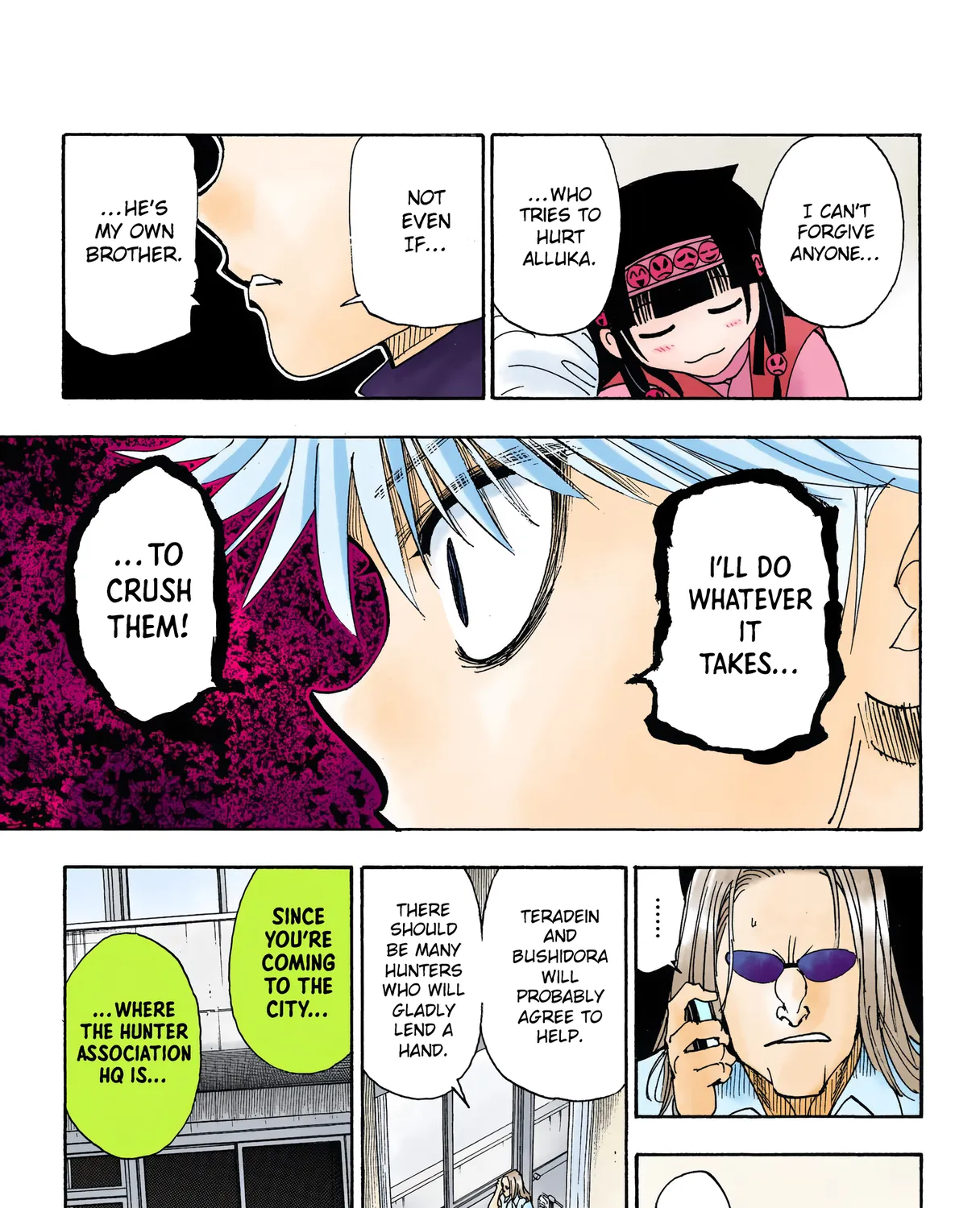 Hunter x Hunter Colored Manga