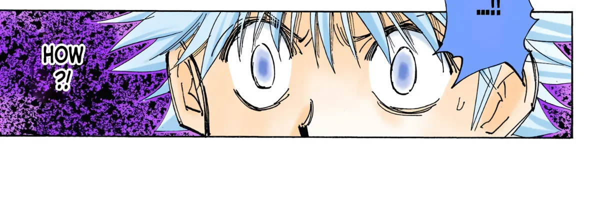 Hunter x Hunter Colored Manga