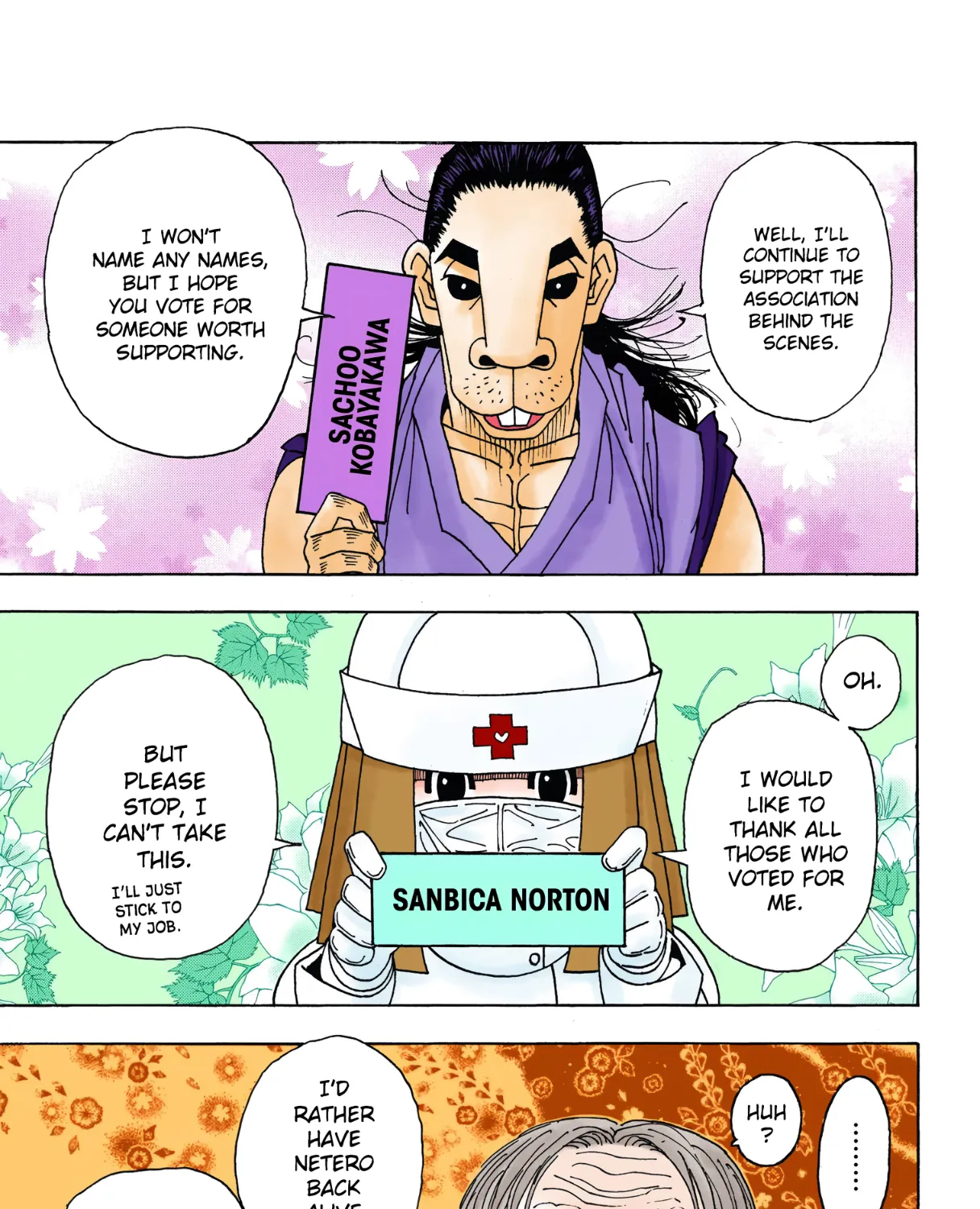 Hunter x Hunter Colored Manga