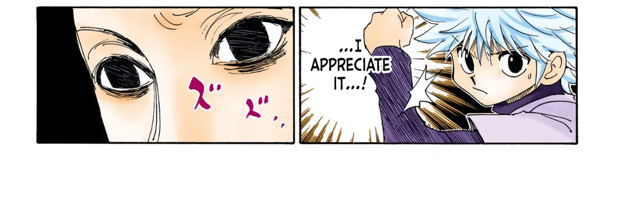 Hunter x Hunter Colored Manga