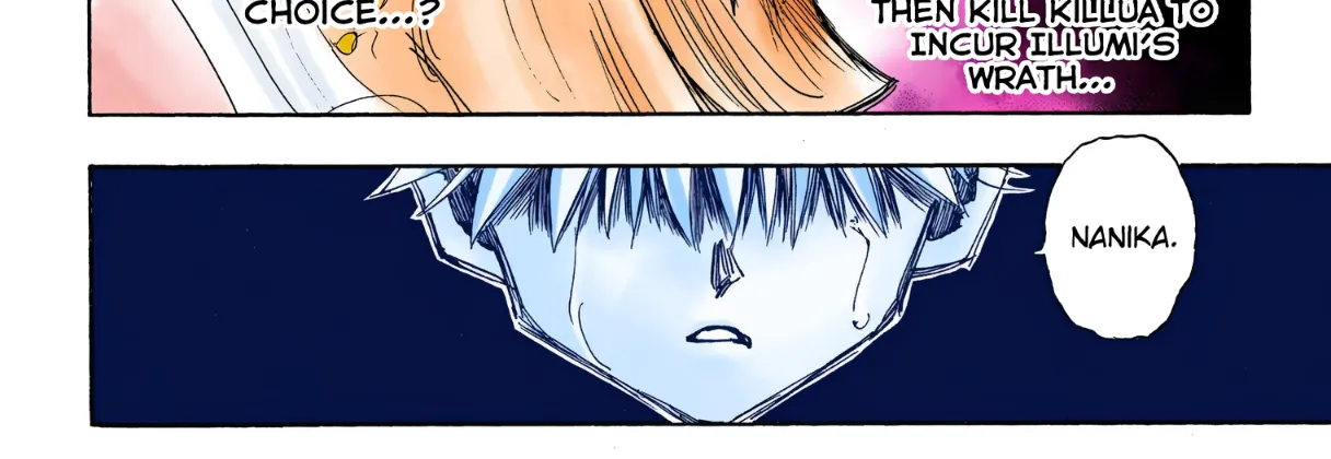 Hunter x Hunter Colored Manga