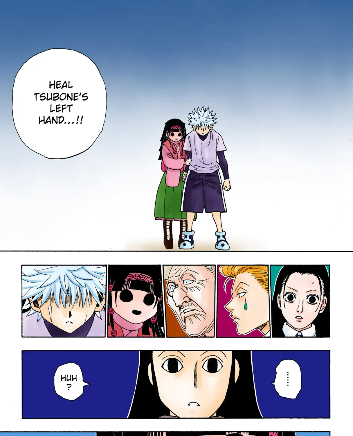 Hunter x Hunter Colored Manga