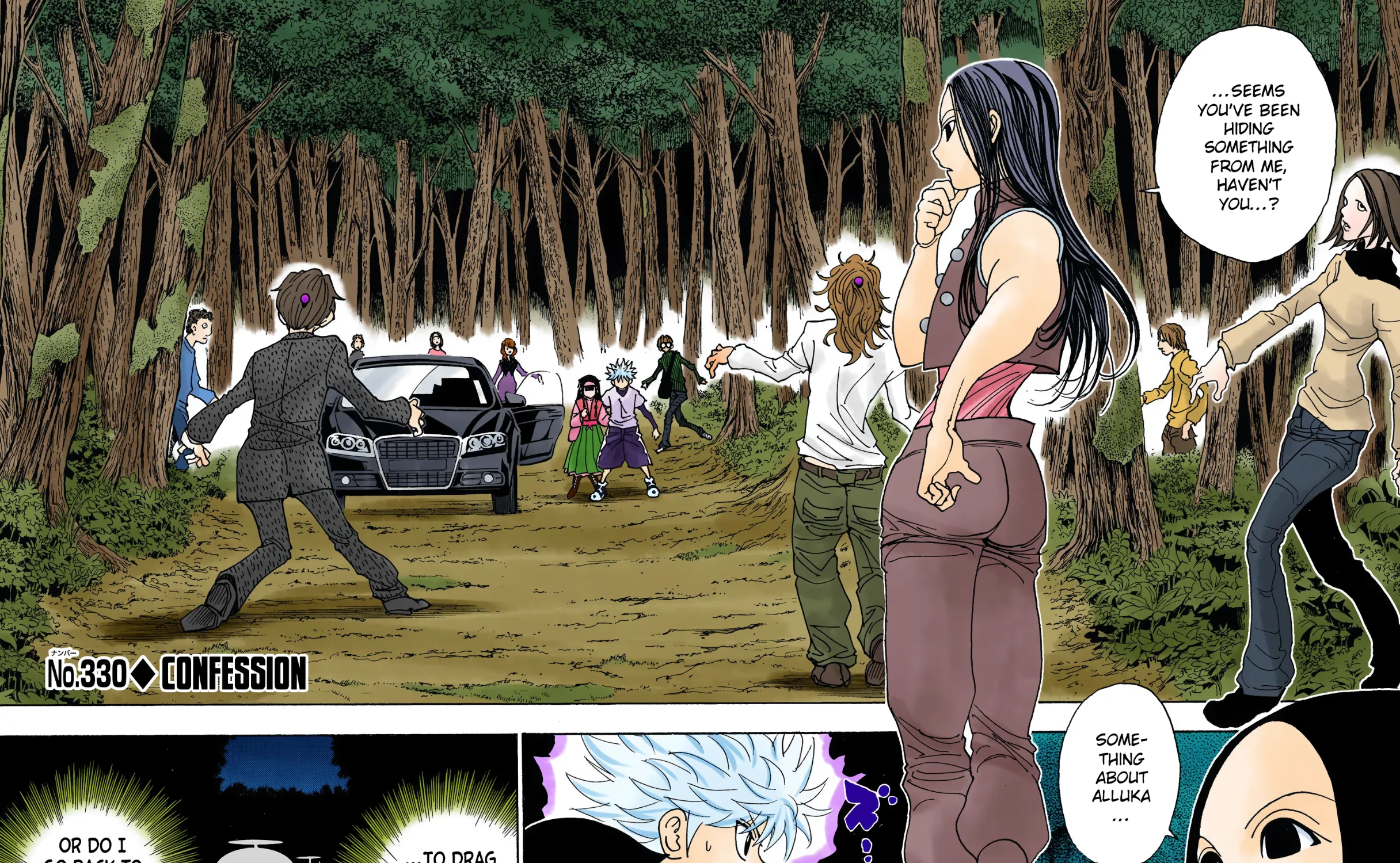 Hunter x Hunter Colored Manga