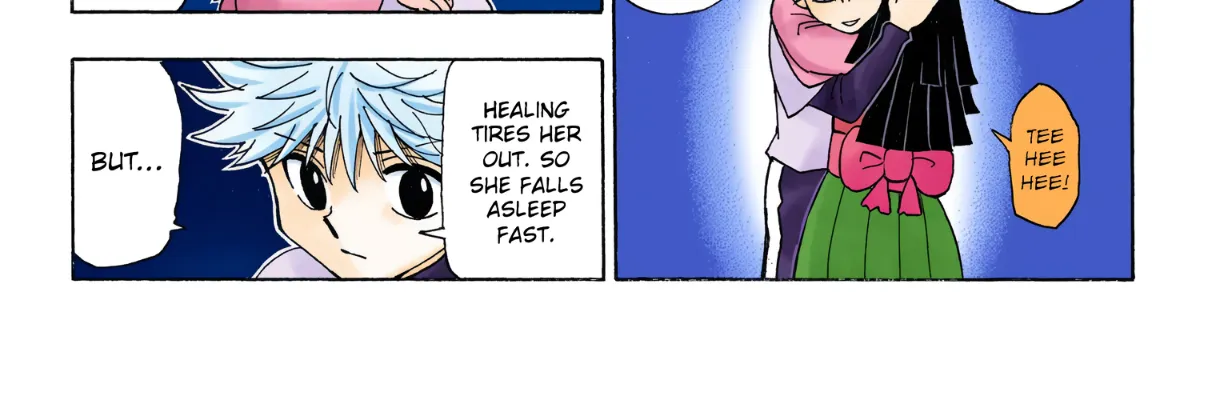 Hunter x Hunter Colored Manga