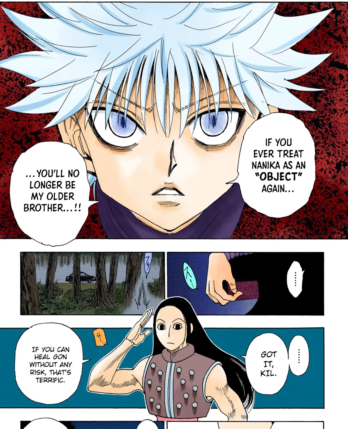 Hunter x Hunter Colored Manga