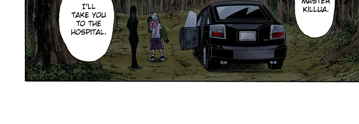 Hunter x Hunter Colored Manga