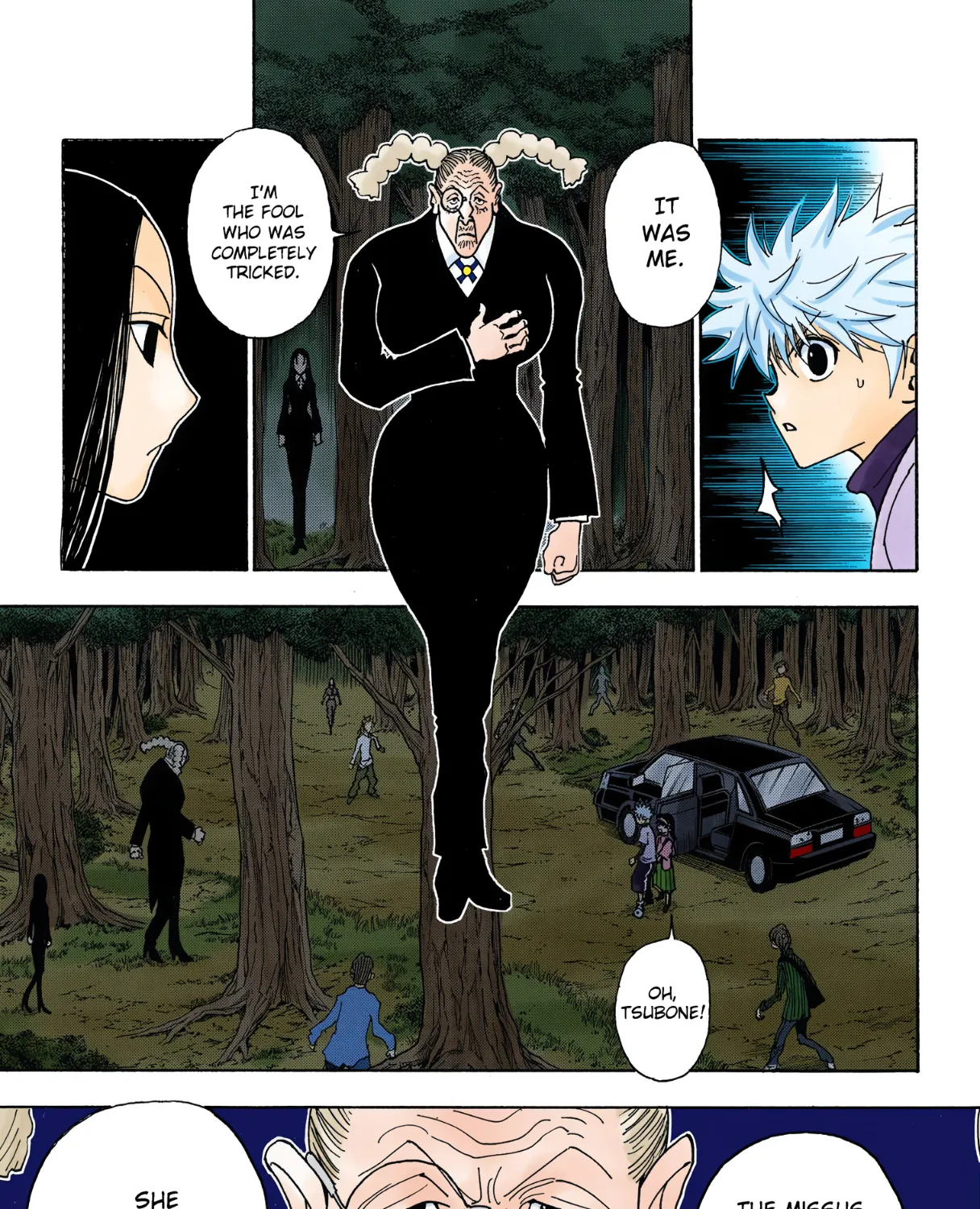 Hunter x Hunter Colored Manga