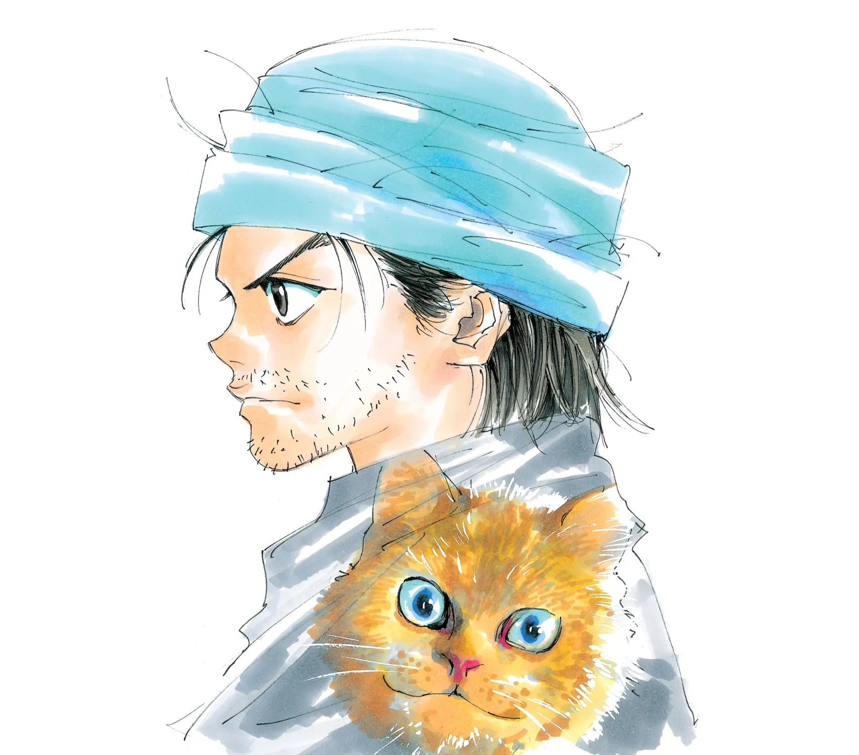 Hunter x Hunter Colored Manga