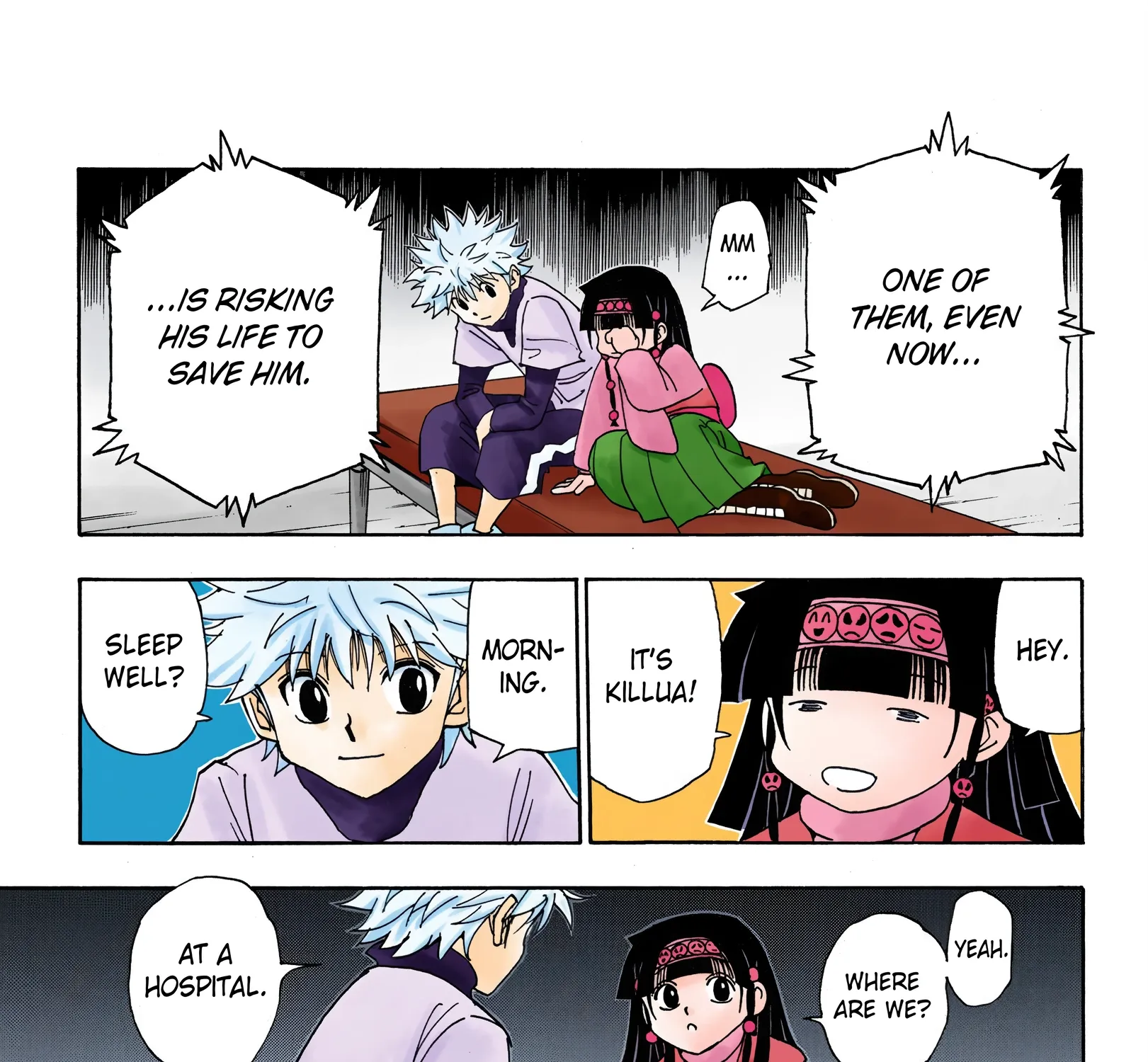 Hunter x Hunter Colored Manga