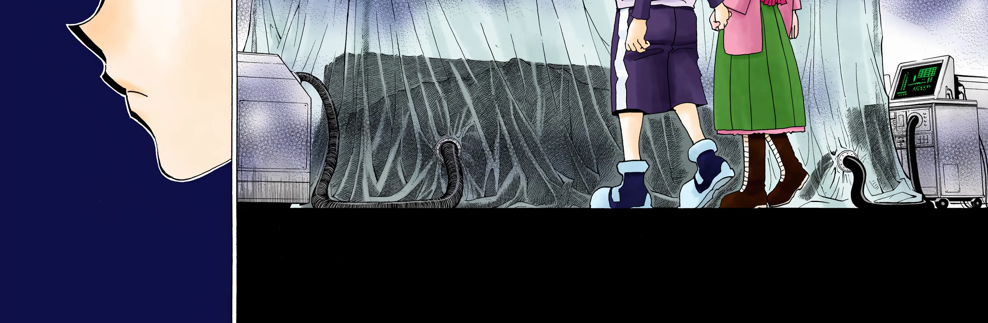 Hunter x Hunter Colored Manga