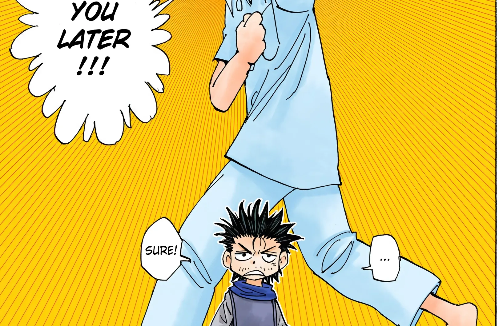 Hunter x Hunter Colored Manga