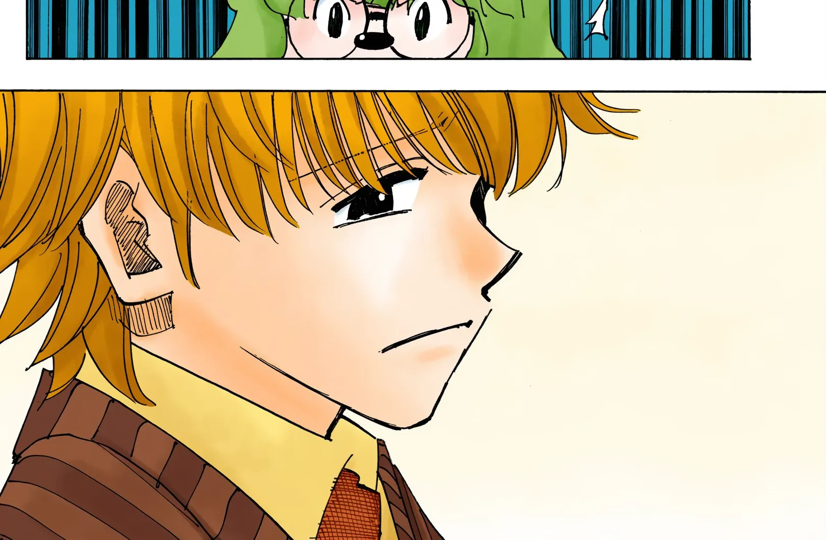 Hunter x Hunter Colored Manga