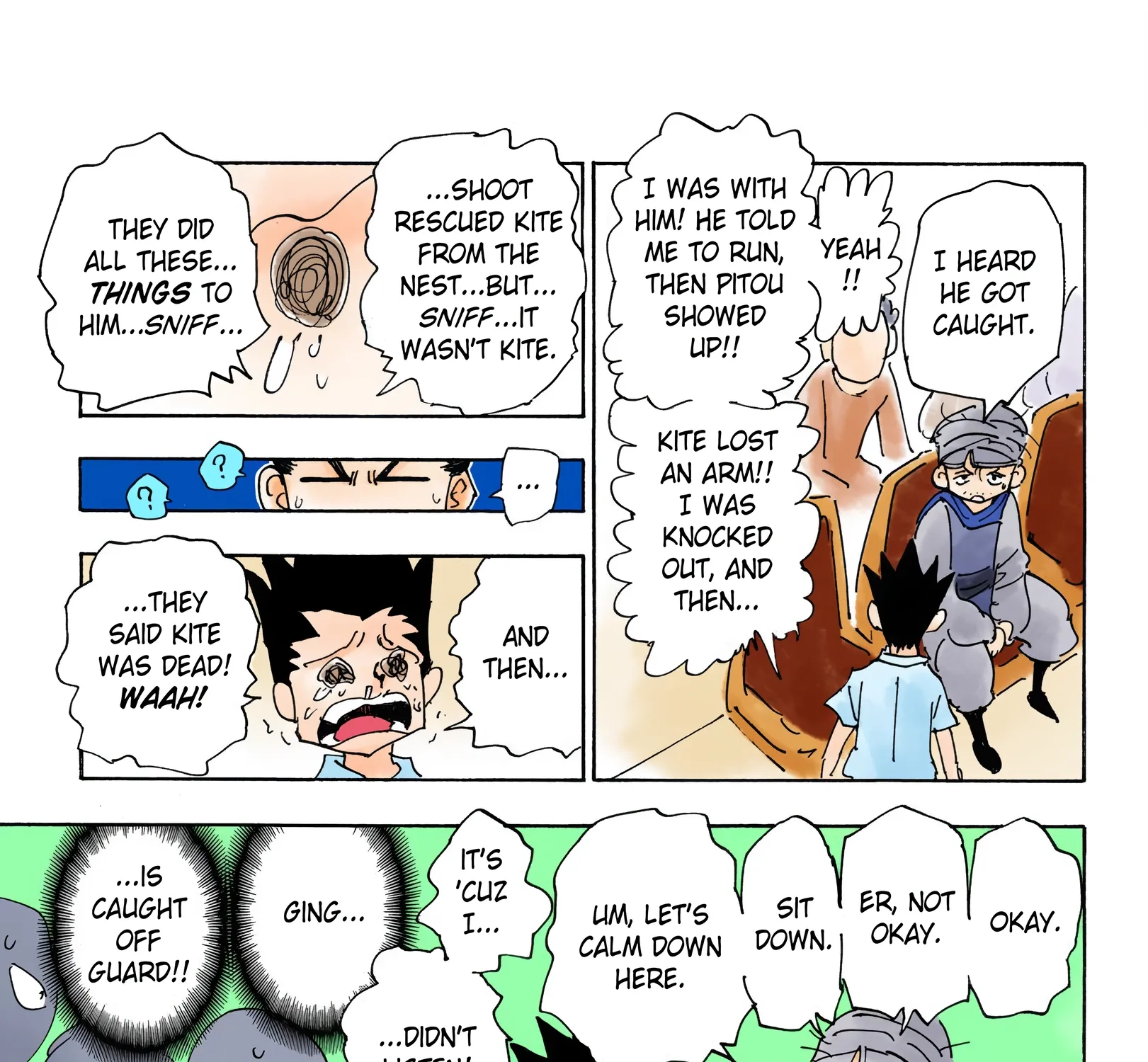 Hunter x Hunter Colored Manga