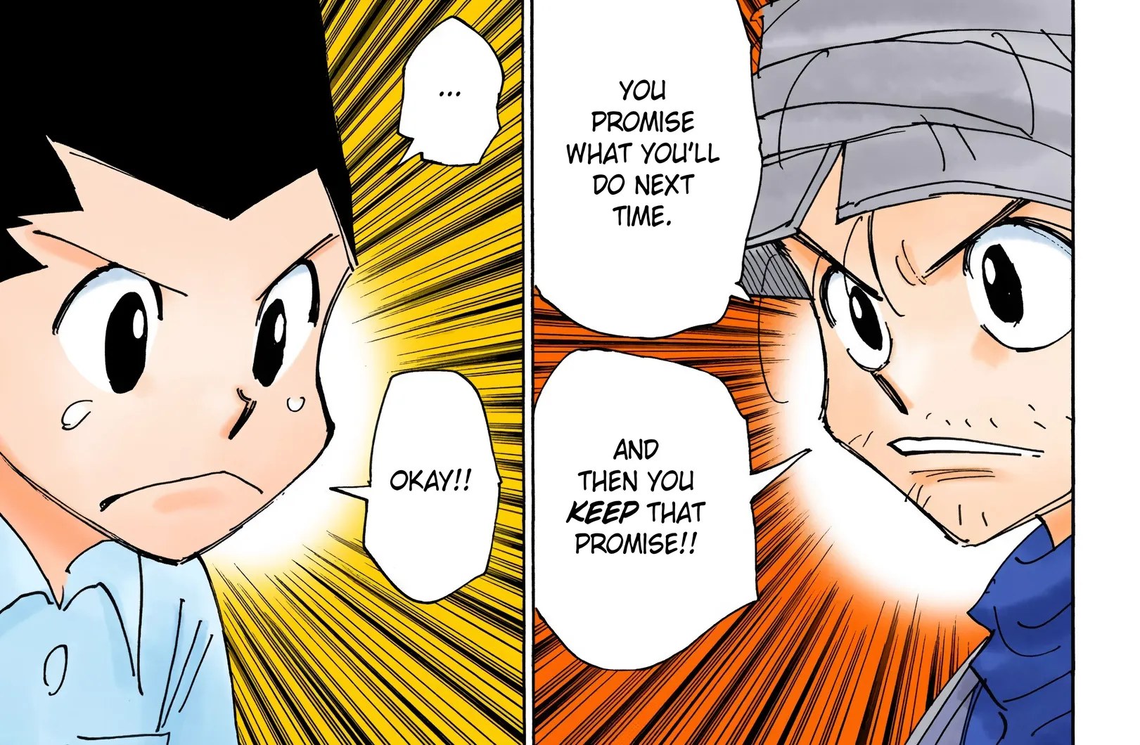 Hunter x Hunter Colored Manga