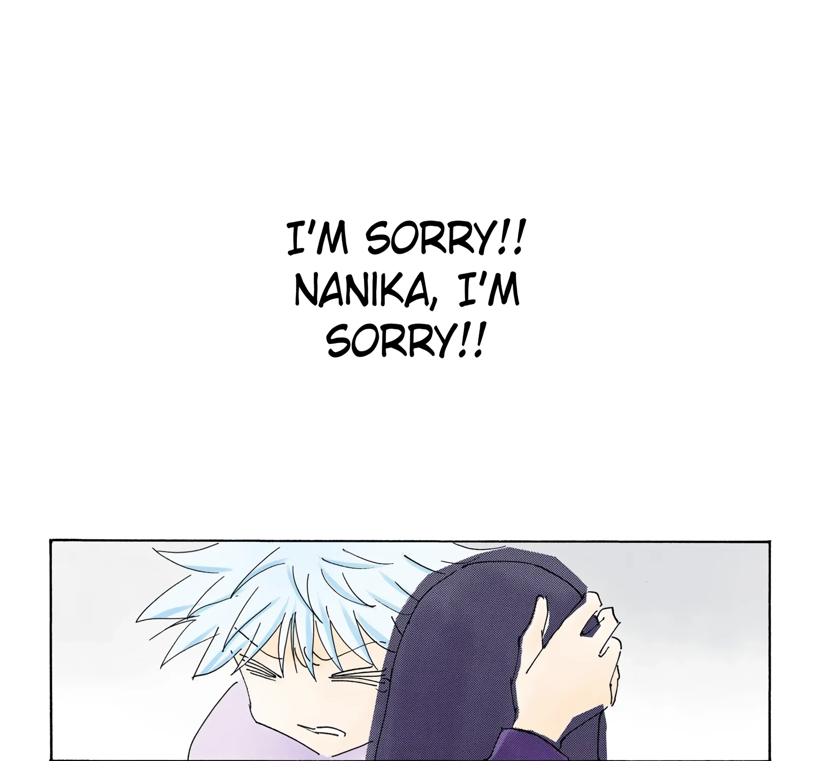 Hunter x Hunter Colored Manga